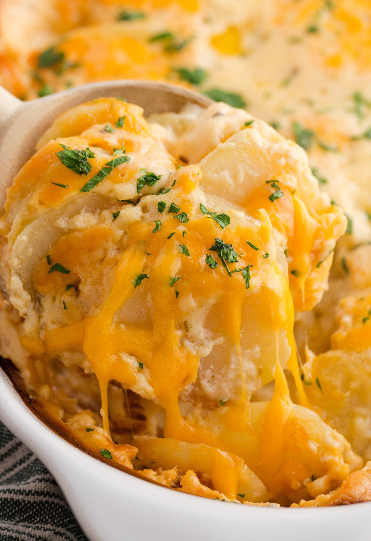 Russets & Rich Sauce: Your Guide to Perfectly Cheesy Potatoes